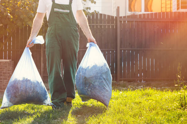 Best Basement Cleanout  in USA